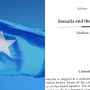 Somalia Doesn’t Need Trusteeship