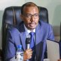 Somalia Auditor General Finalises Investigations into “Charcoal Case”
