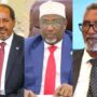 The Capture of the Bicameral Legislature by Villa Somalia