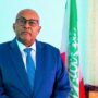 The Incoming Somaliland Administration Faces Political, Security and Economic Hurdles