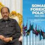 The 2024 Political Landscape in Somalia:  A Year of Turmoil and Constitutional Woes