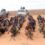Puntland oo la wareegtay ciidan beeleed